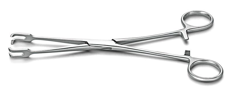 子宮夾持鉗 直雙爪型（固定子宮）